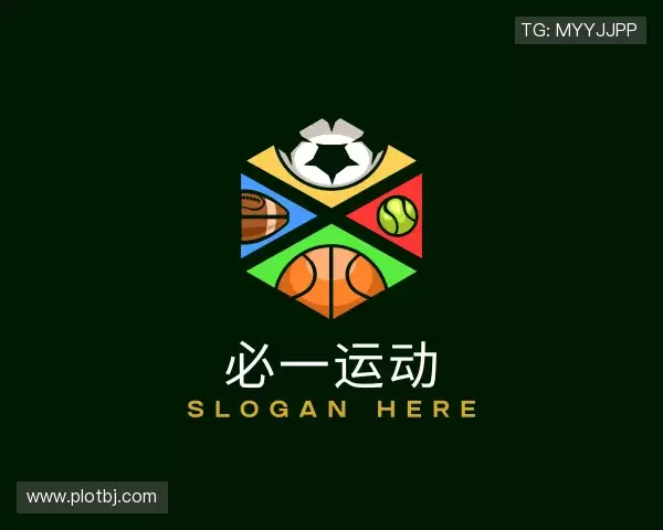 认识Bsports